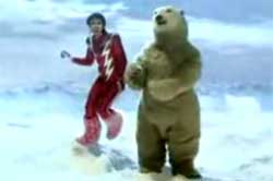 polar bears are fun